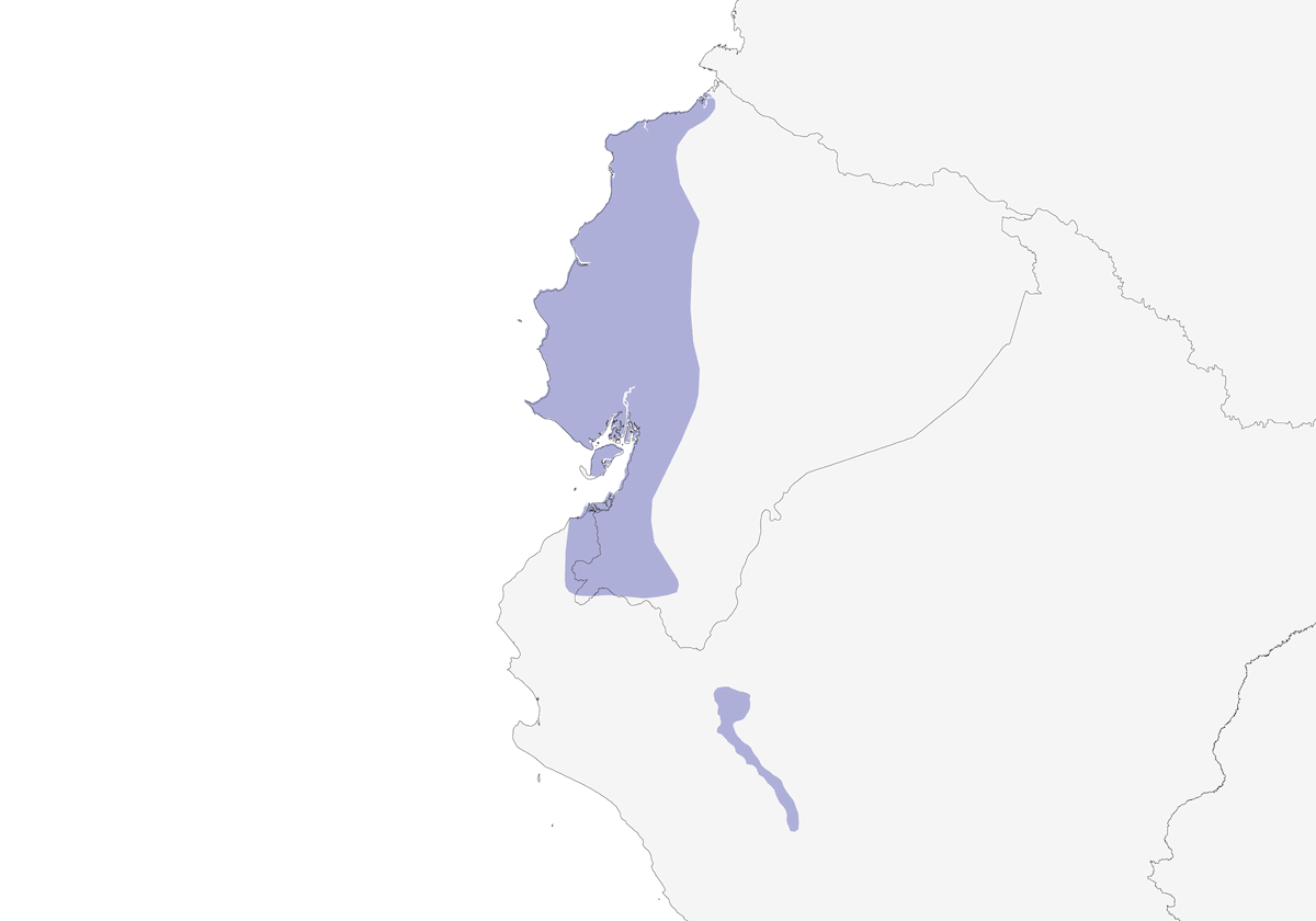 Columbina ecuatoriana, Distribución 1