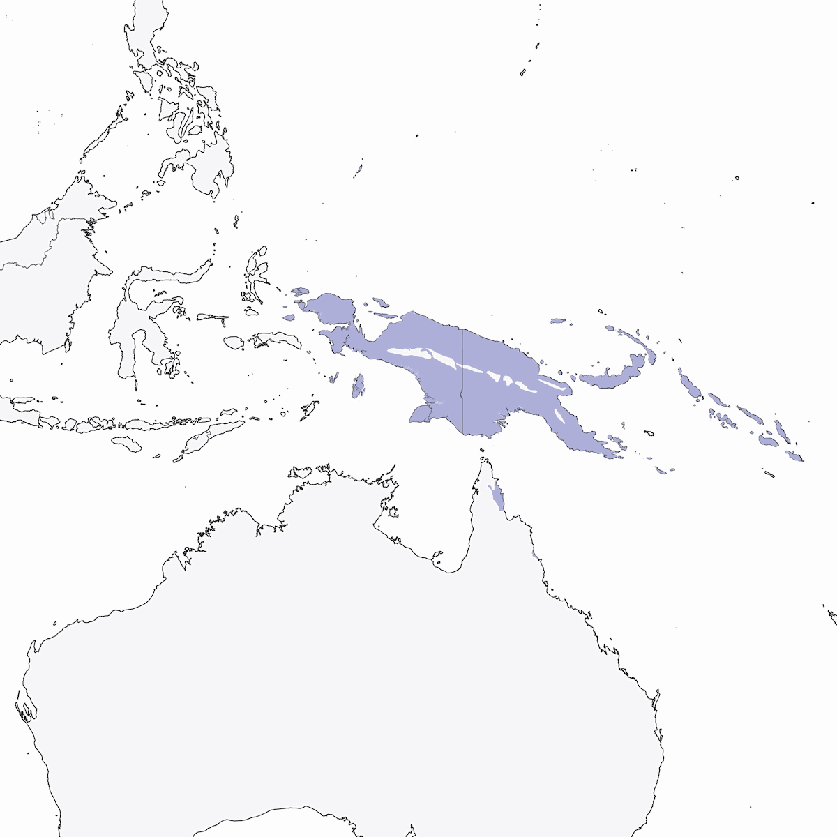 Papuan Eclectus, Distribution 1