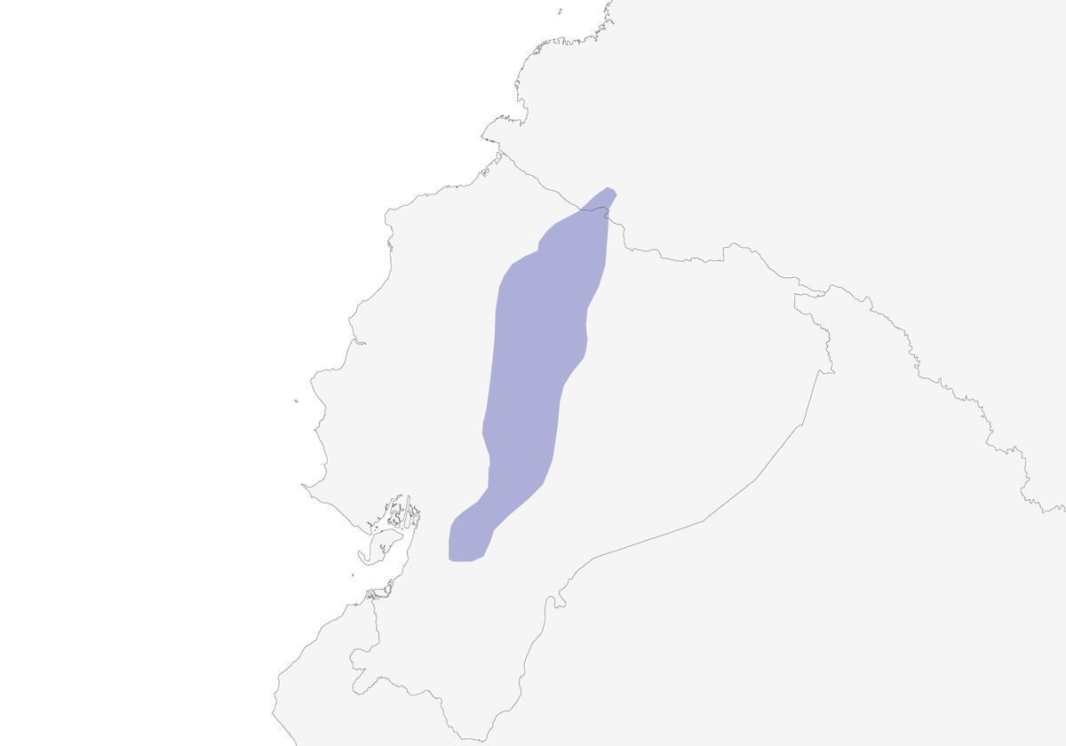 Colibrì di Chimborazo, Distribuzione 1