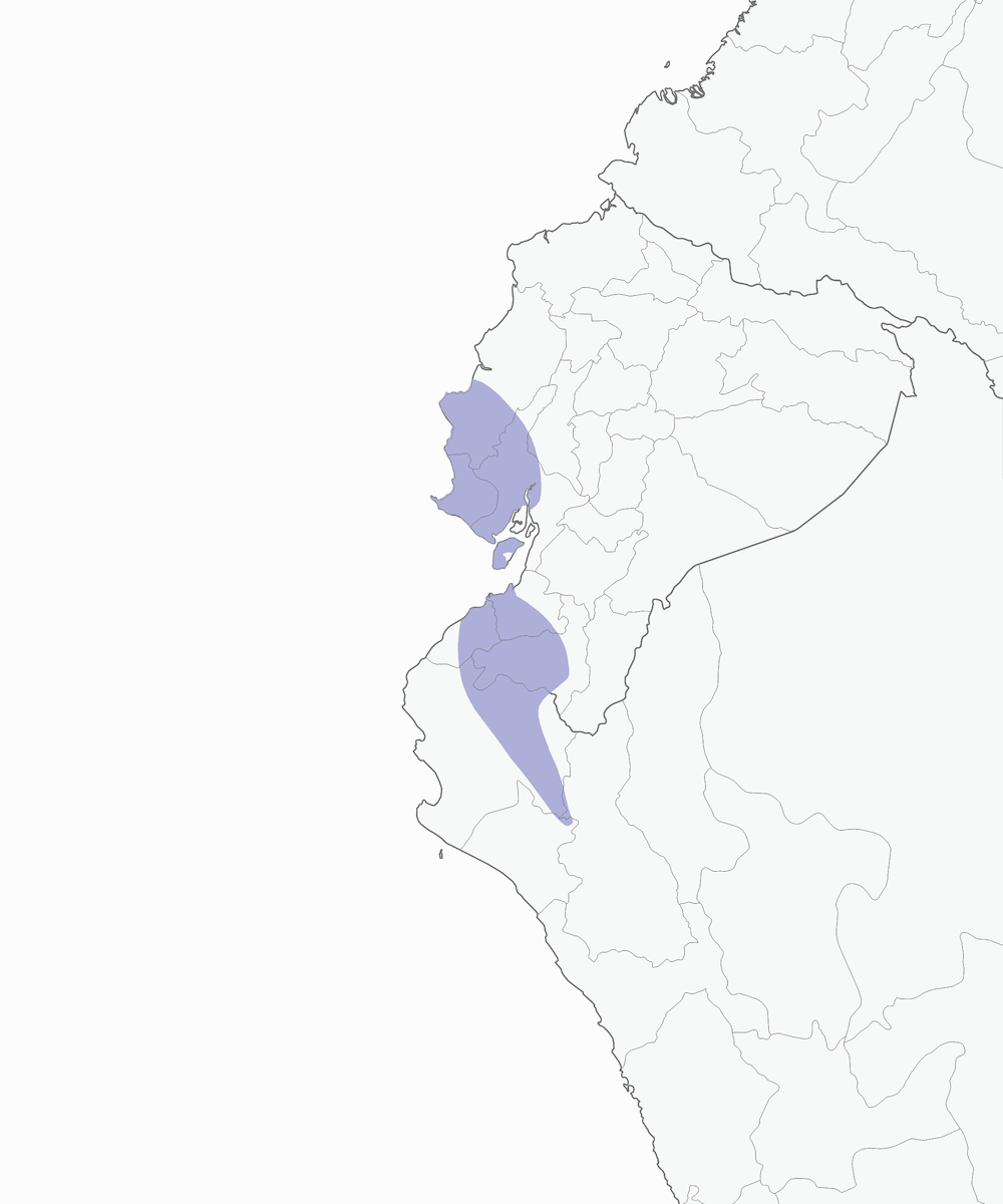 Picchio nano dell'Ecuador, Distribuzione 1