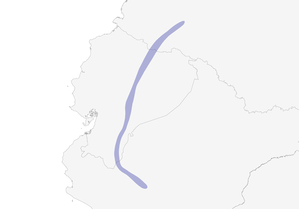 Ecuadorian Piedtail, 分布 1