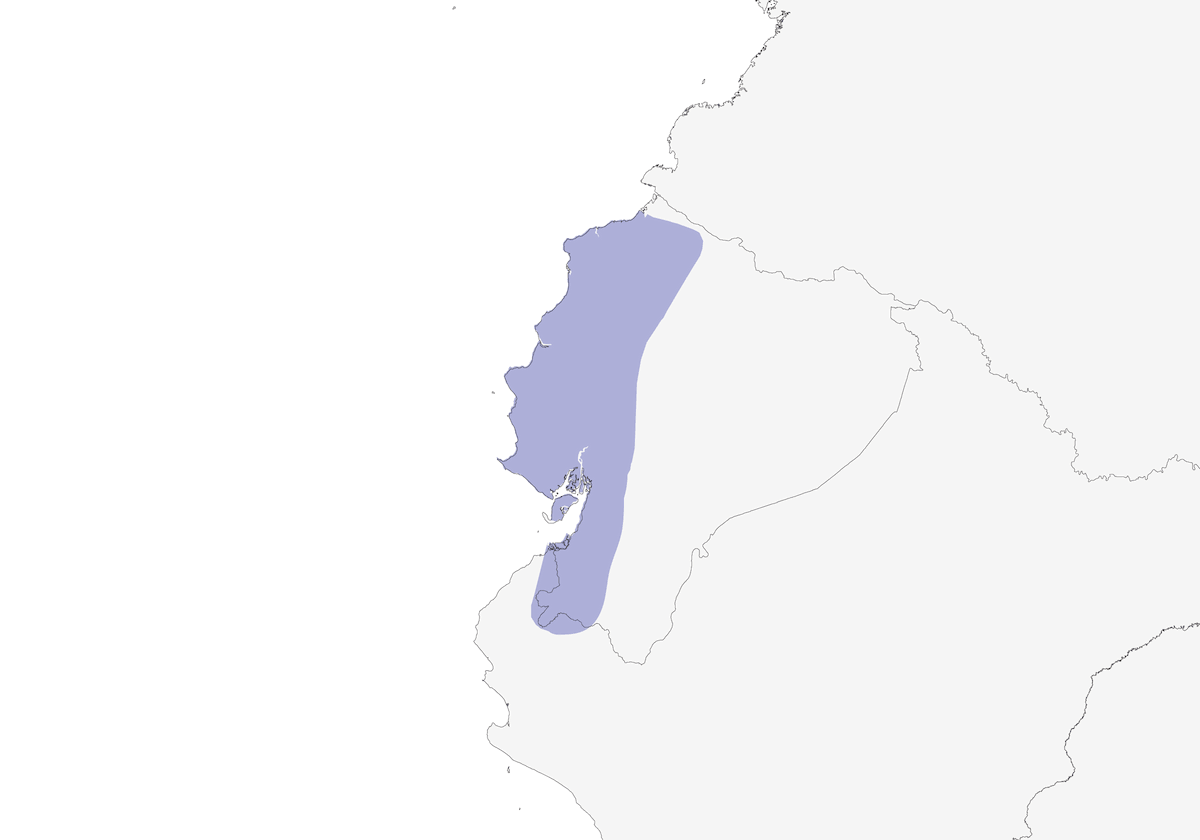 Zorzal ecuatoriano, Distribución 1