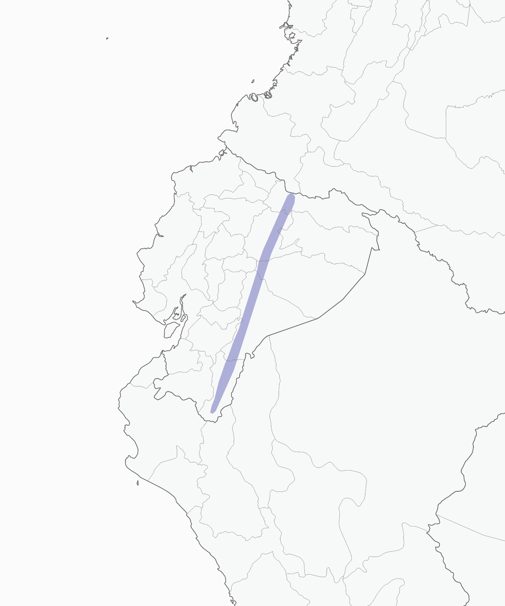 Ecuador-Kleintyrann, Verbreitung 1