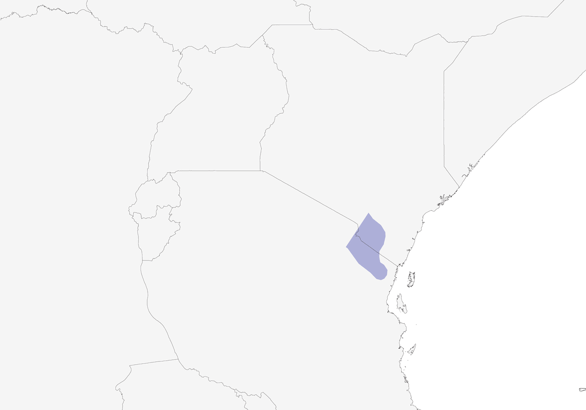 Suimanga de Usambara, Distribución 1