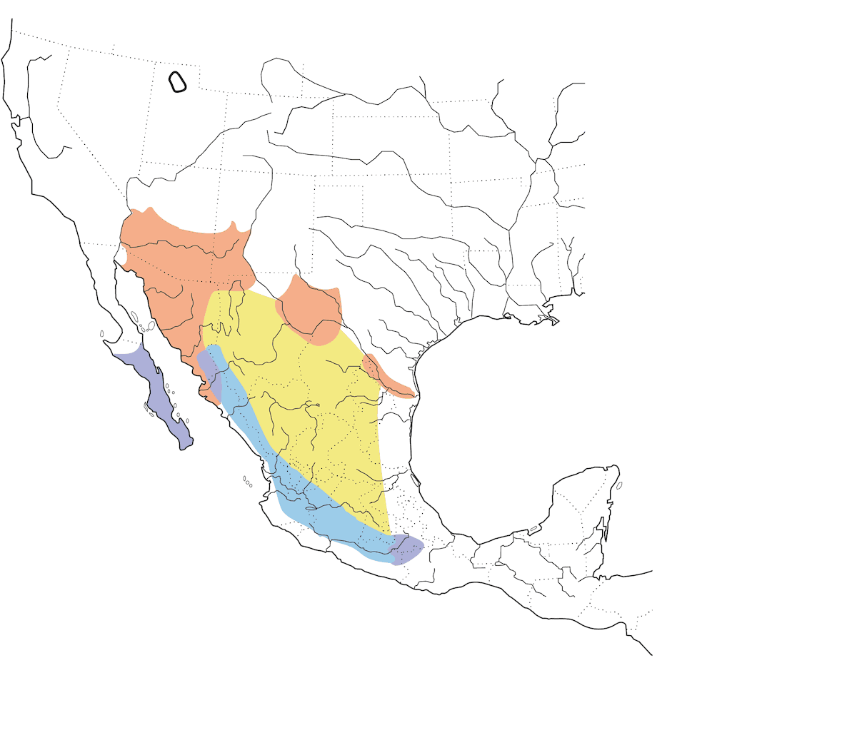 Búho duende, Distribución 1