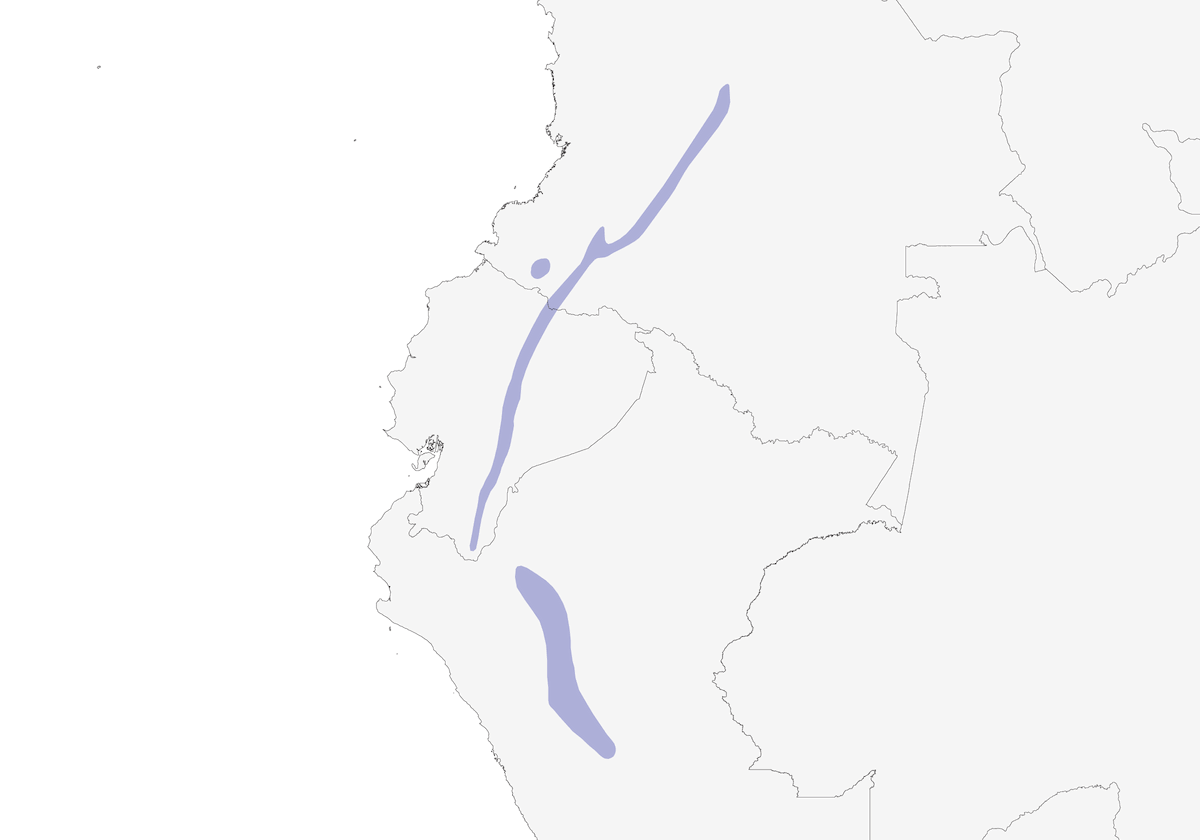 Eriocnemi ventresmeraldo, Distribuzione 1