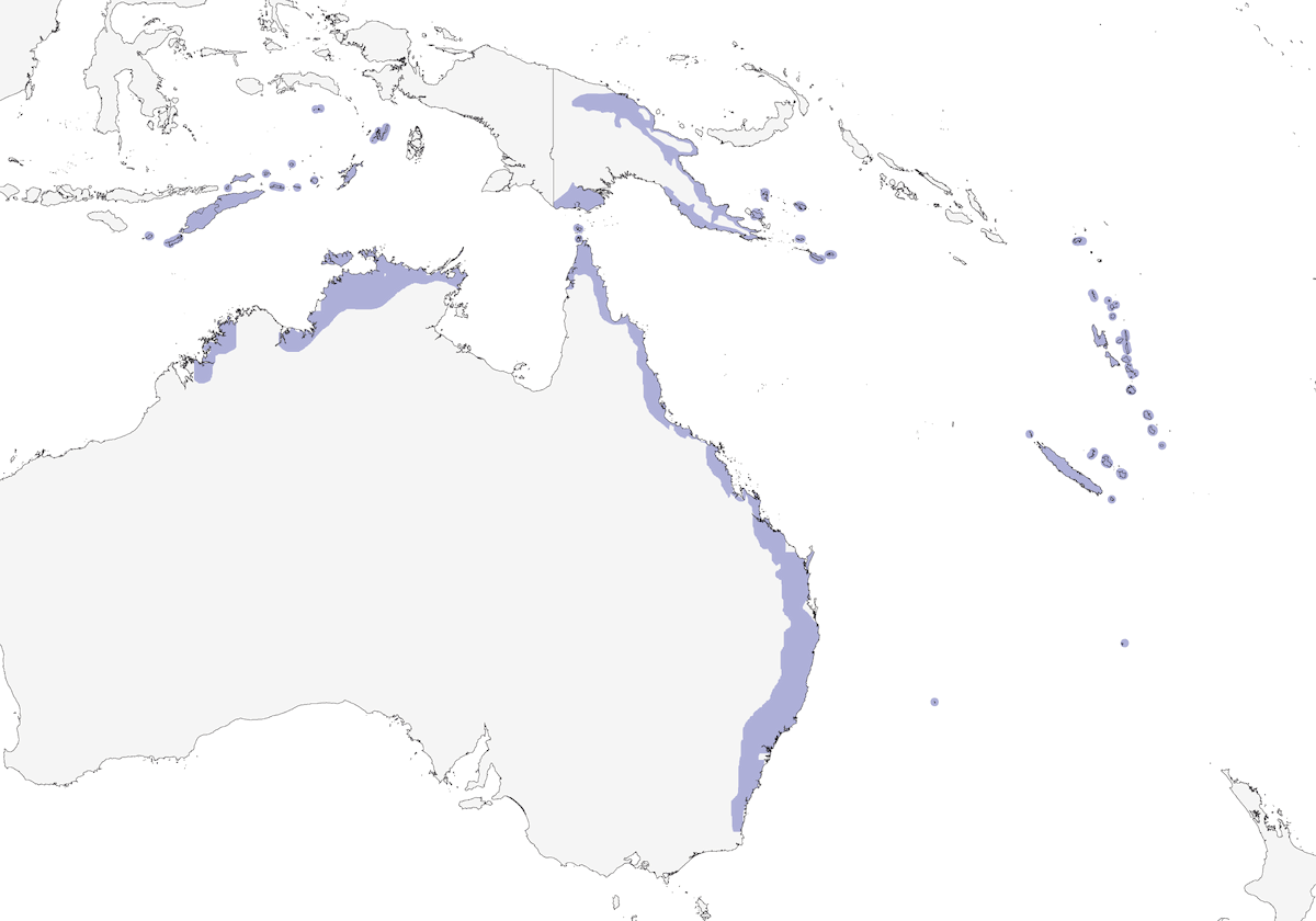 Tortora smeralda del Pacifico, Distribuzione 1