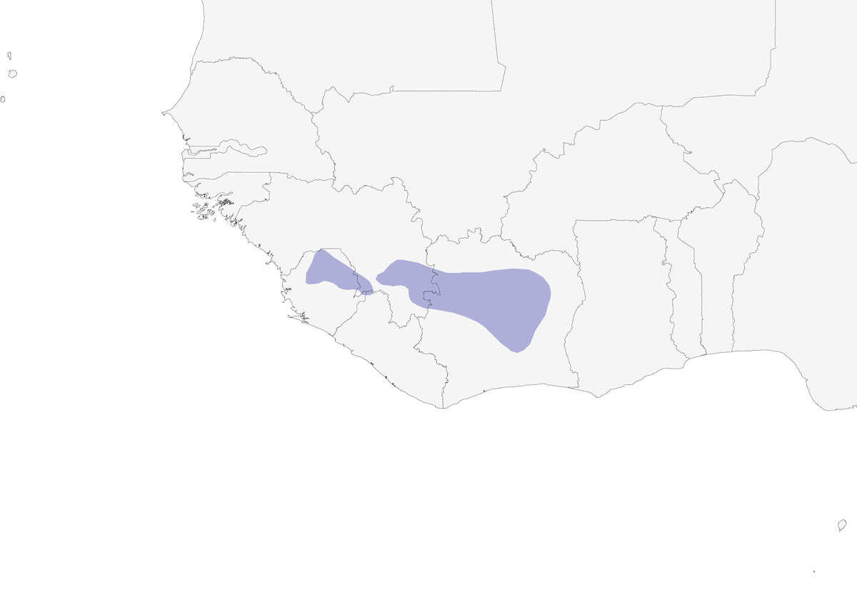 Emerald Starling, Distribution 1