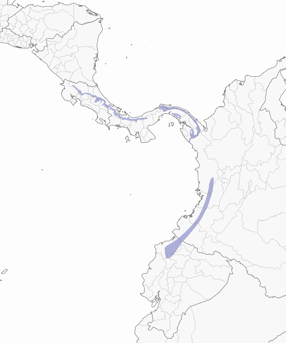 Tangara émeraude, Distribution 1