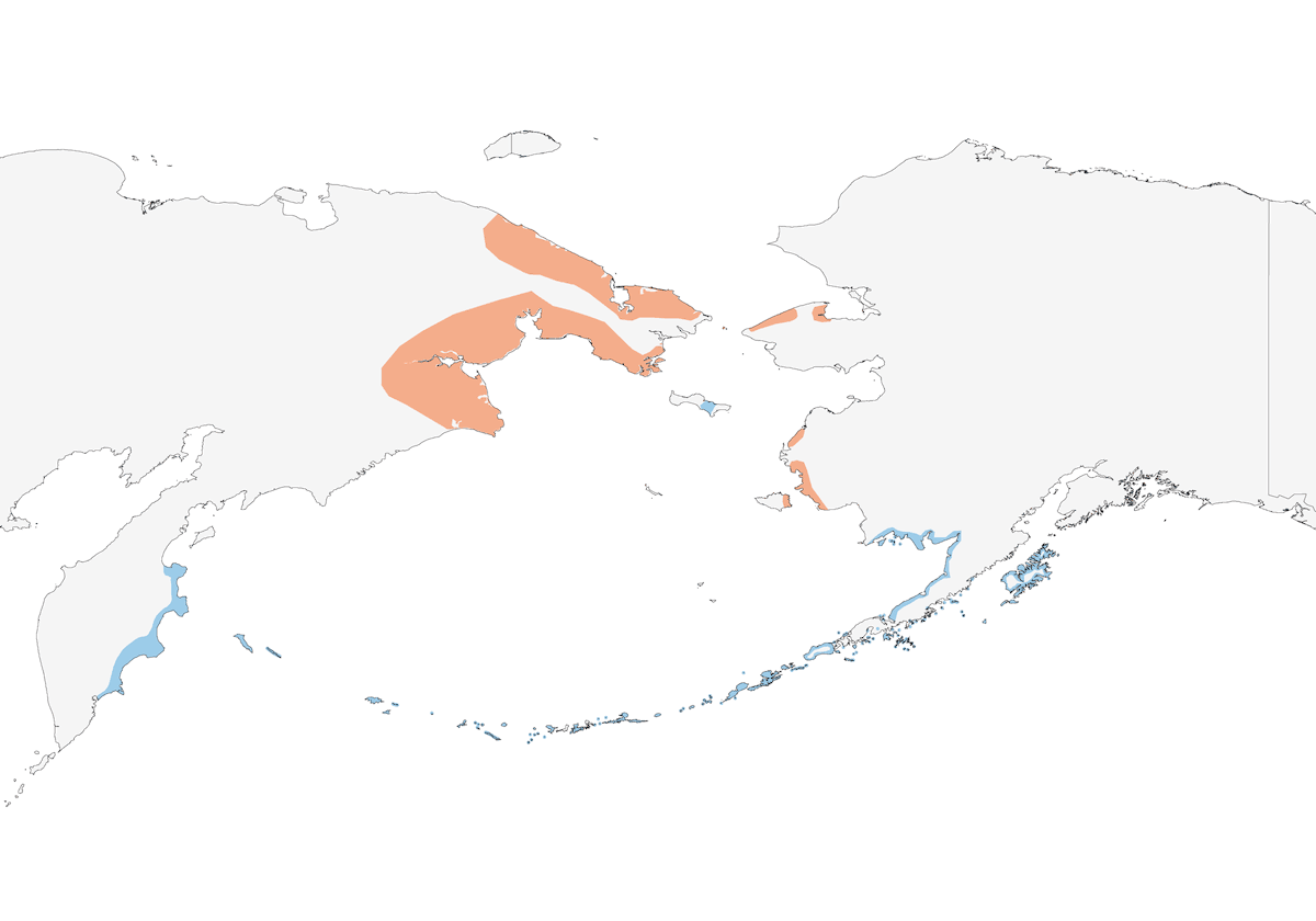 Oca imperatore, Distribuzione 1