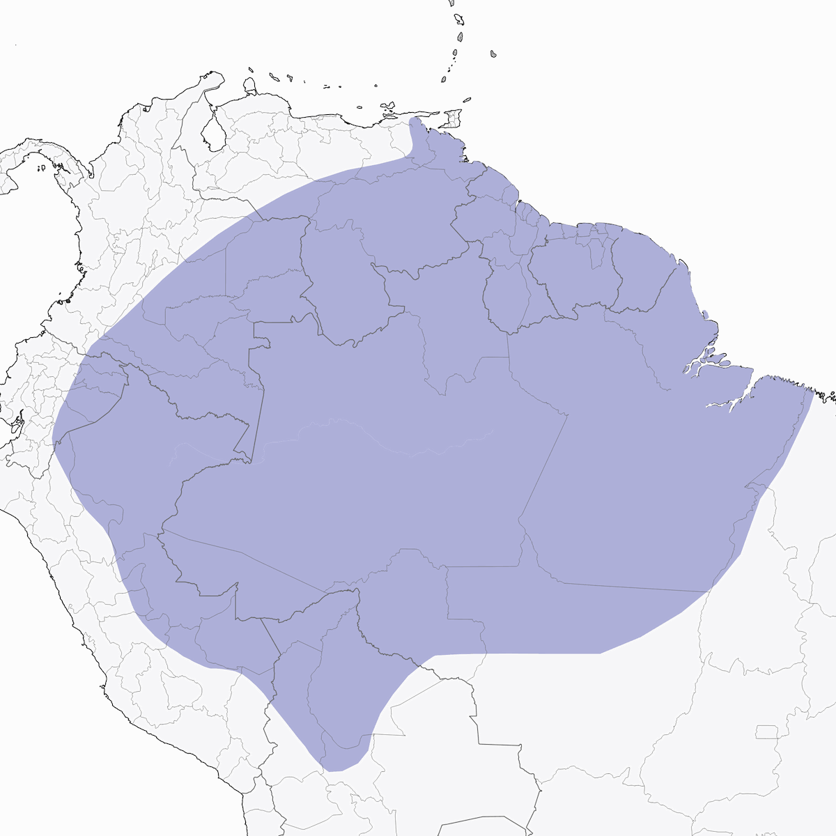 Oriolo spallato, Distribuzione 1