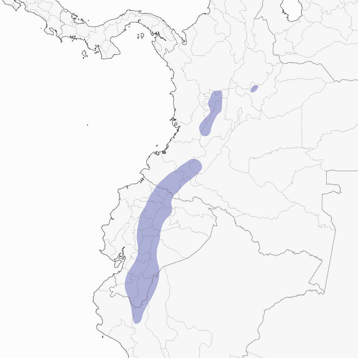 Chululú ecuatorial, Distribución 1