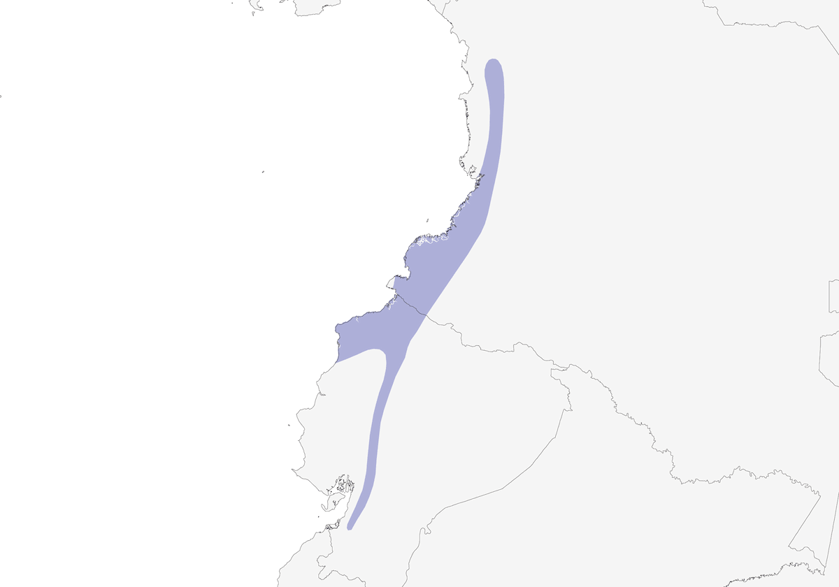 Esmeraldas Antbird, Distribution 1