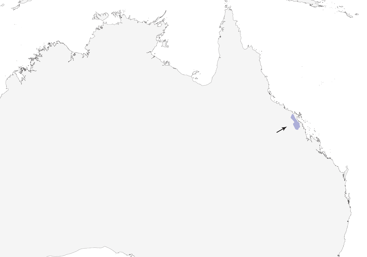 Méliphage d'Eungella, Distribution 1