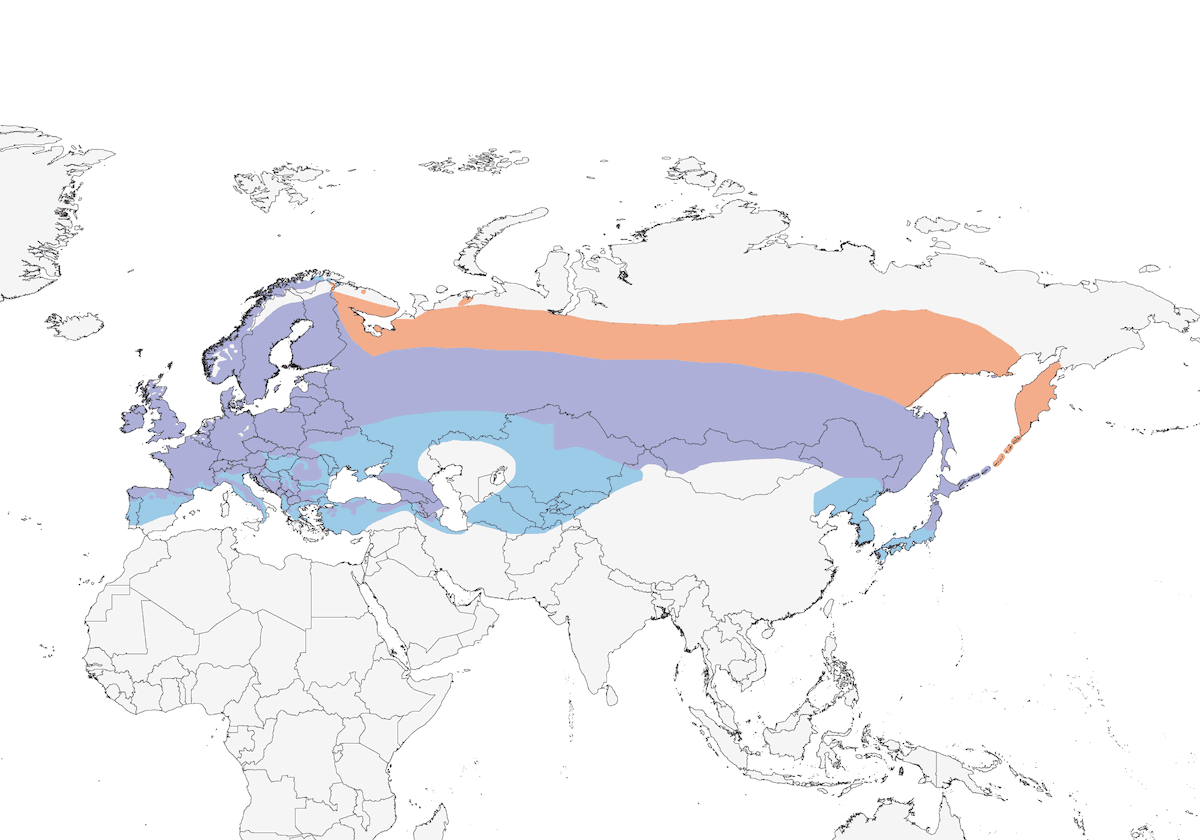 Eurasian Bullfinch, 分布 1