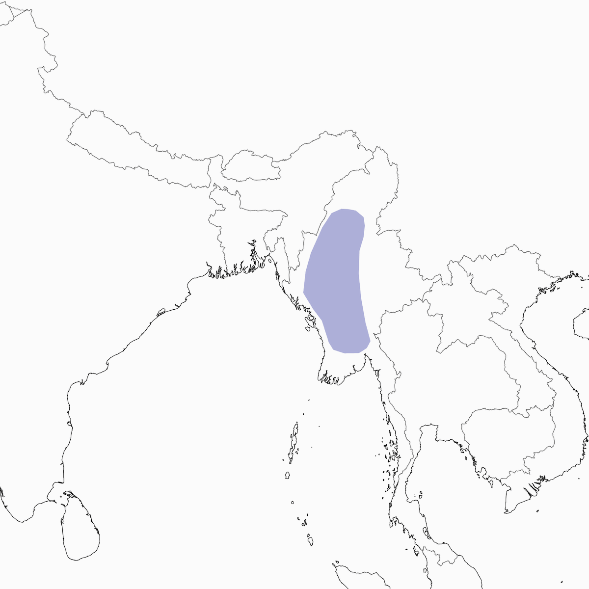 Burma-Halsbandtaube, Verbreitung 1