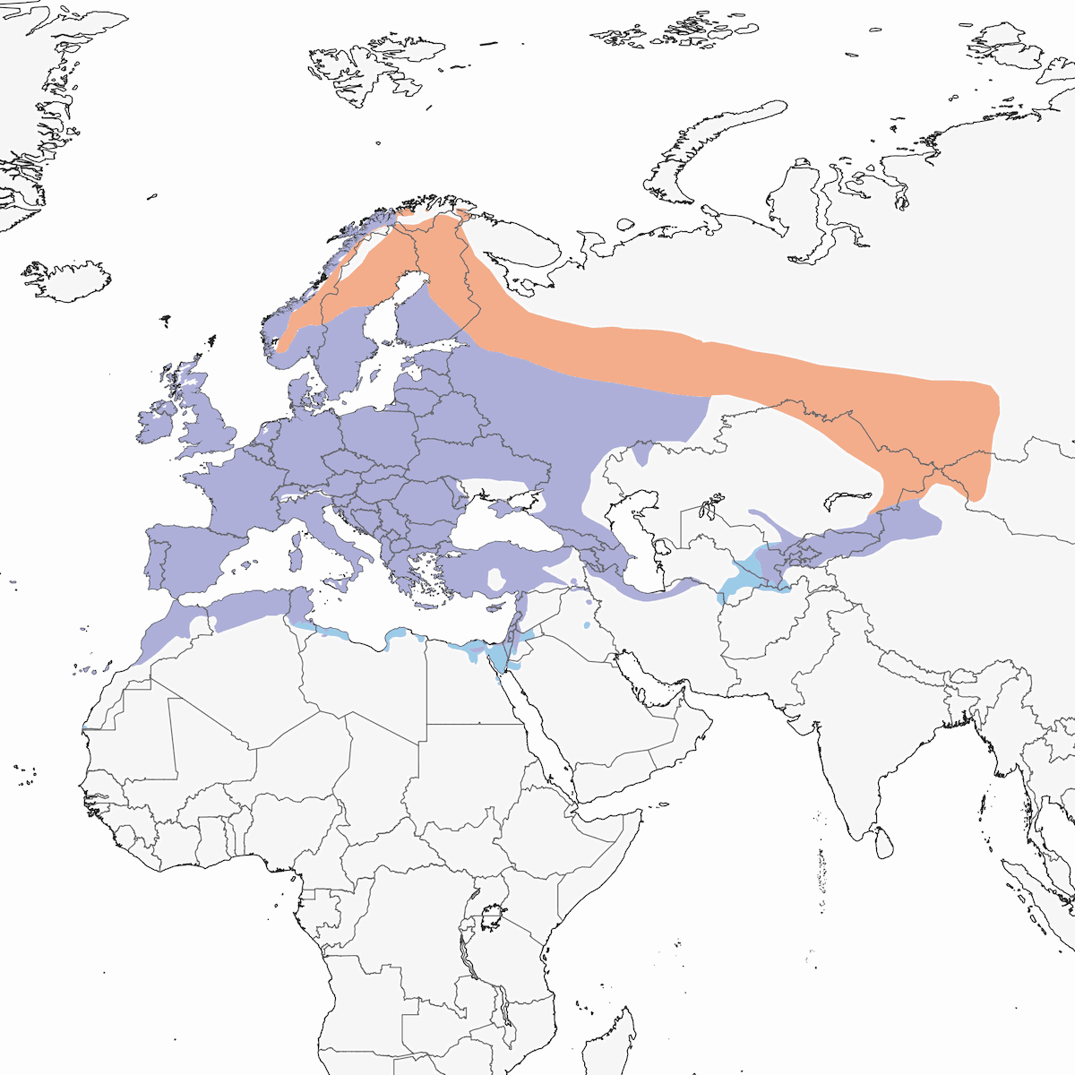 European Greenfinch, Distribution 1