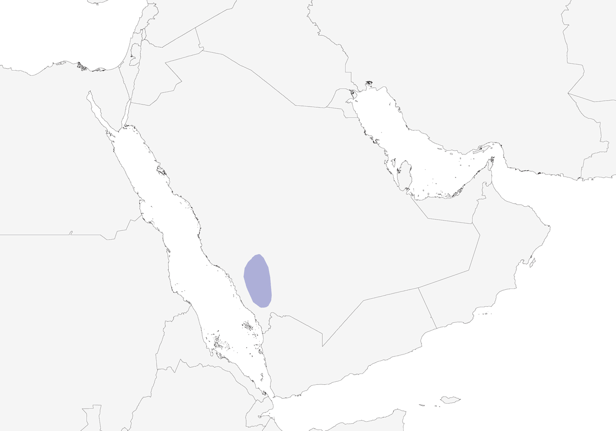 Asir-Elster, Verbreitung 1