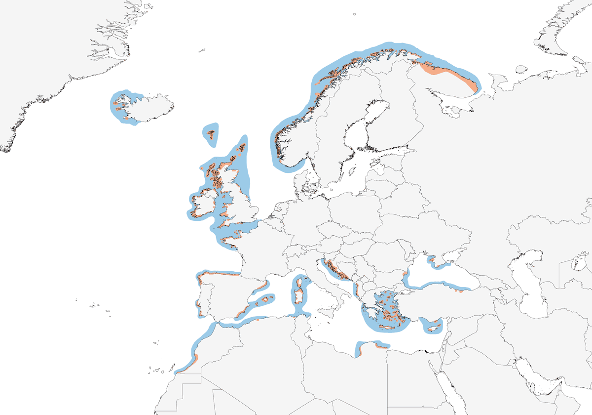 Marangone dal ciuffo, Distribuzione 1
