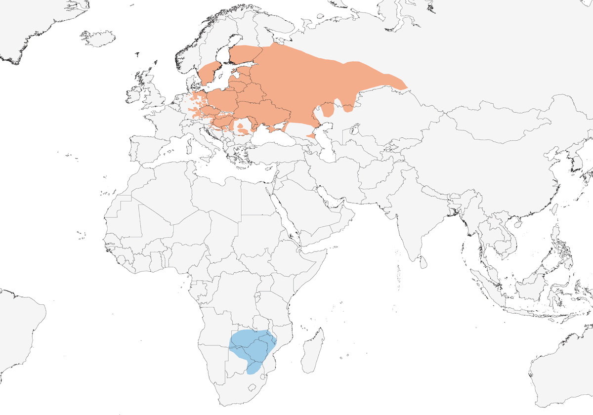 River Warbler, Distribution 1