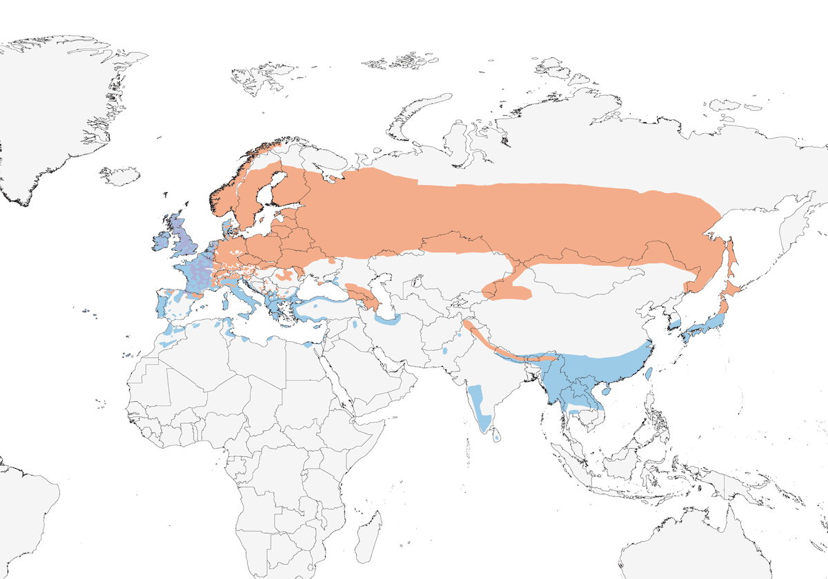 Eurasian Woodcock, Distribution 1