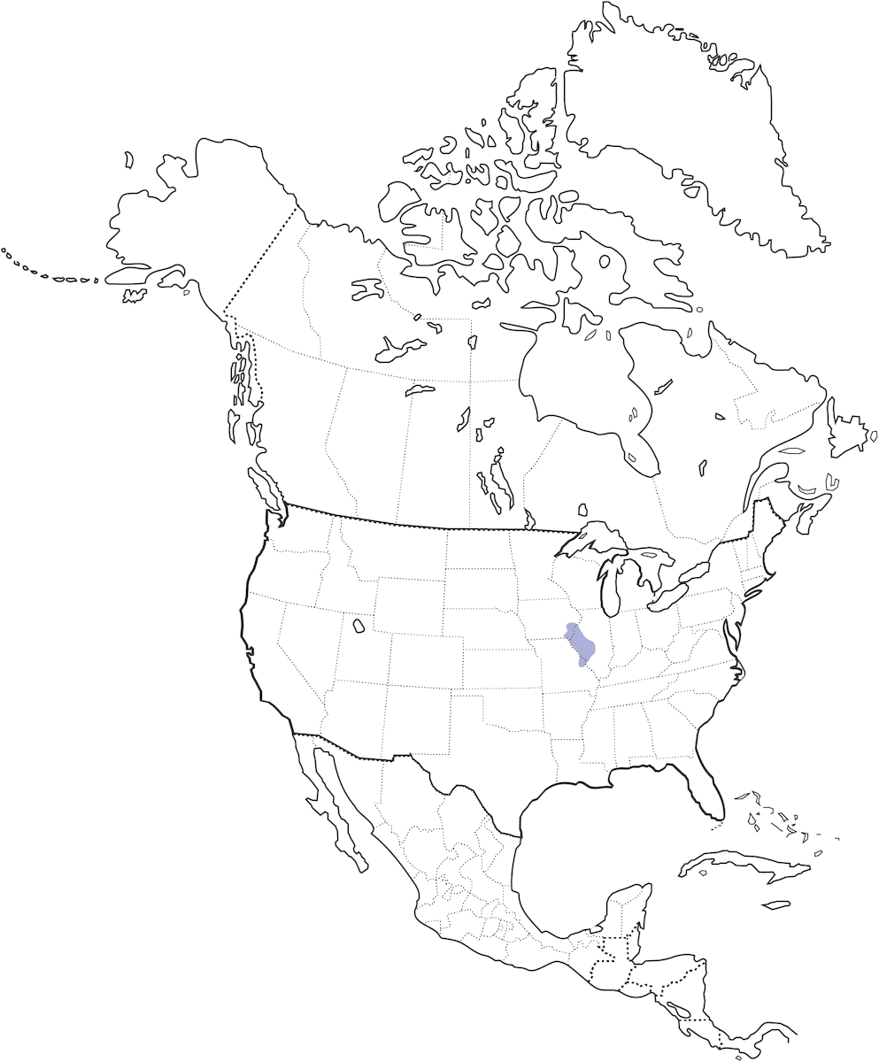 Eurasian Tree Sparrow, Distribution 1