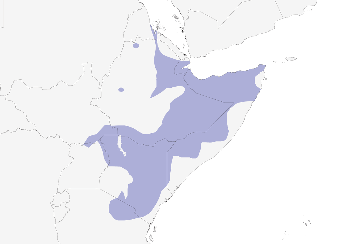 Eastern Yellow-billed Hornbill, Distribution 1