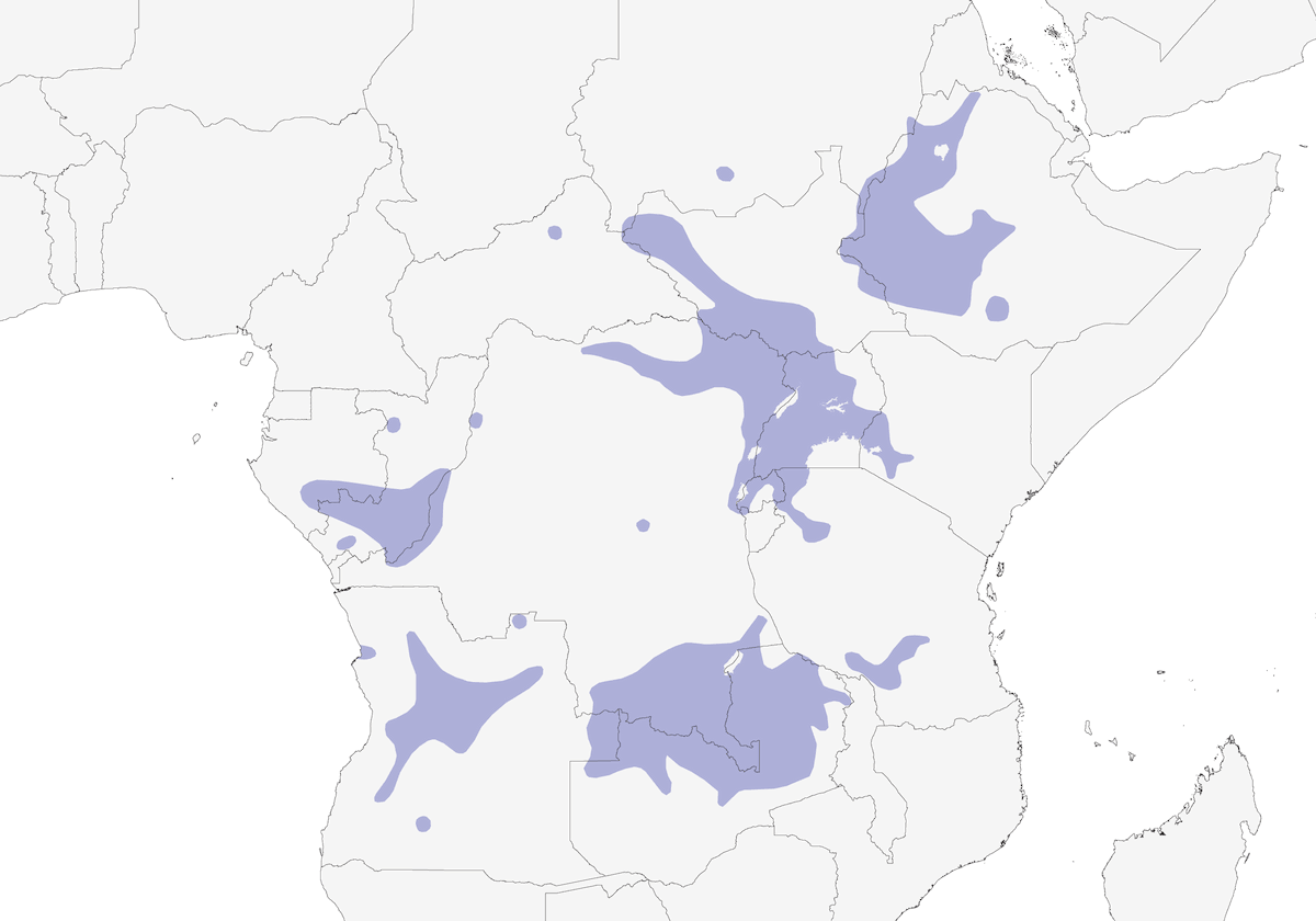 Fawn-breasted Waxbill, Distribution 1