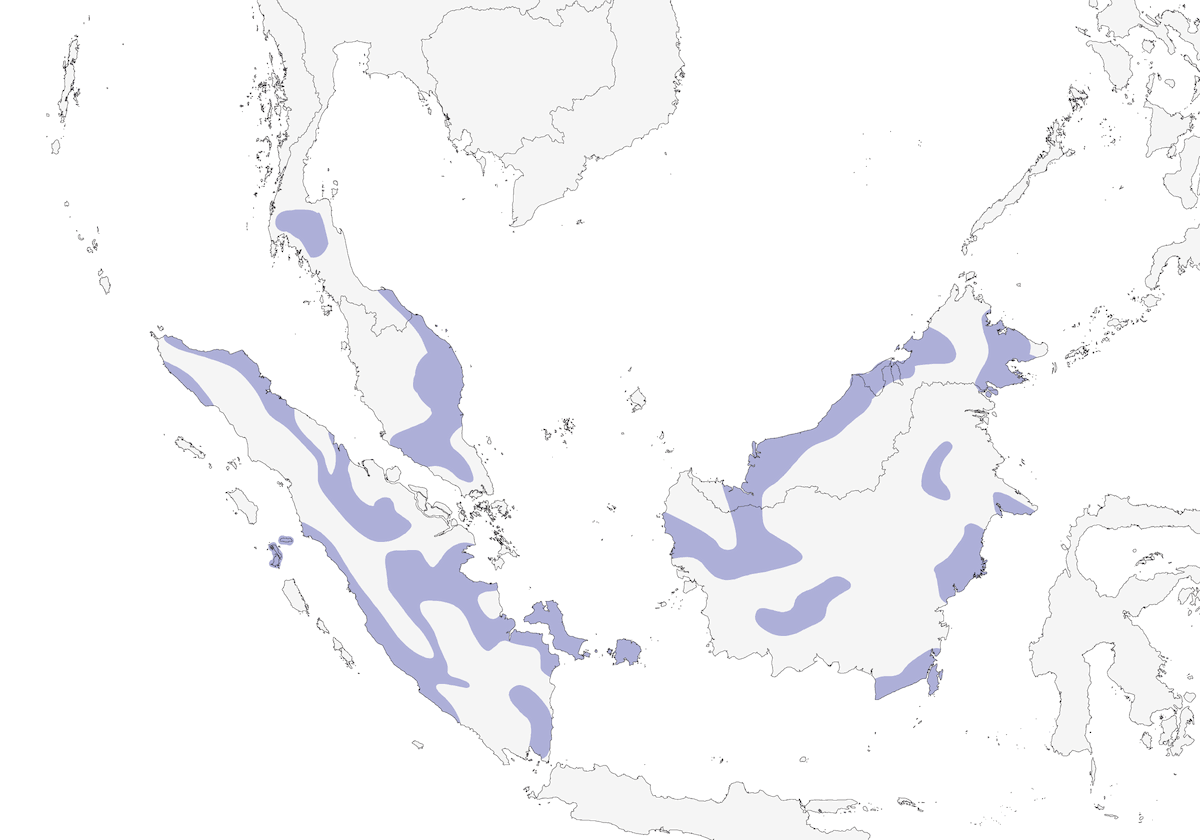 Fluffy-backed Tit-Babbler, Distribution 1