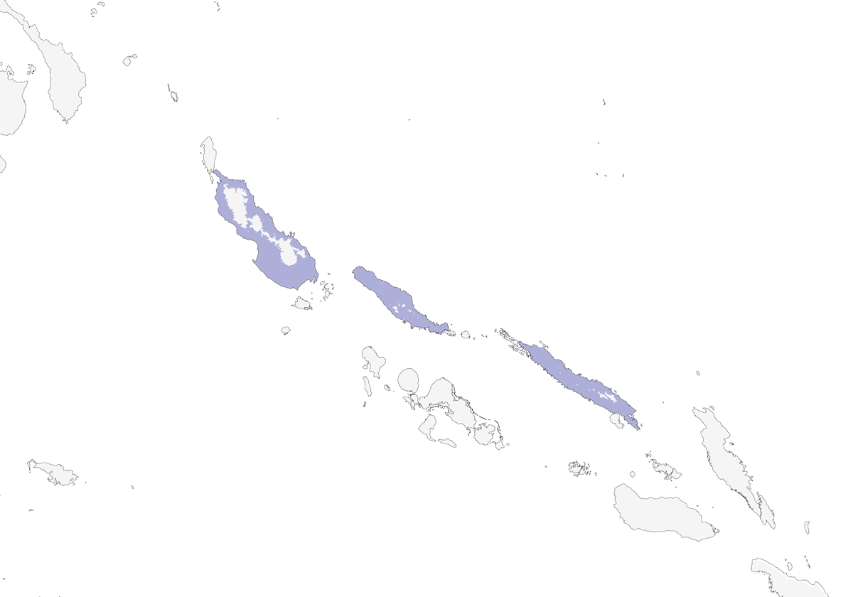 Búho Temible, Distribución 1