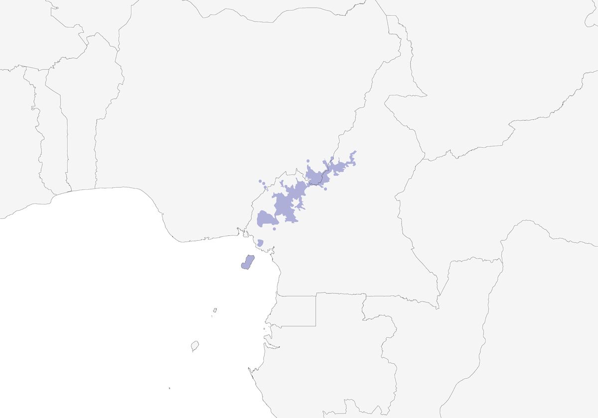 Sénégali de Shelley, Distribution 1