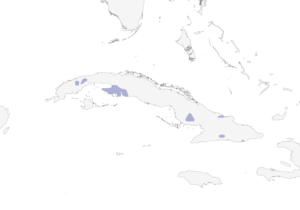 Pic de Fernandina, Distribution 1
