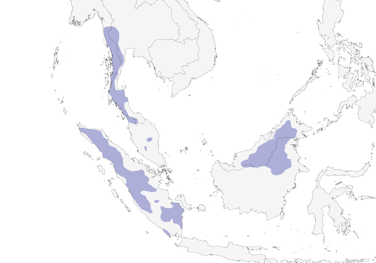 Ferruginous Partridge, Distribution 1