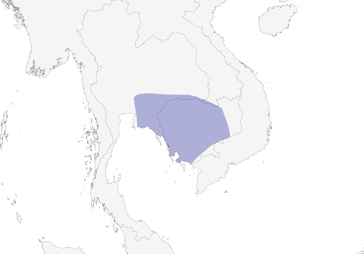 Dicée du Cambodge, Distribution 1