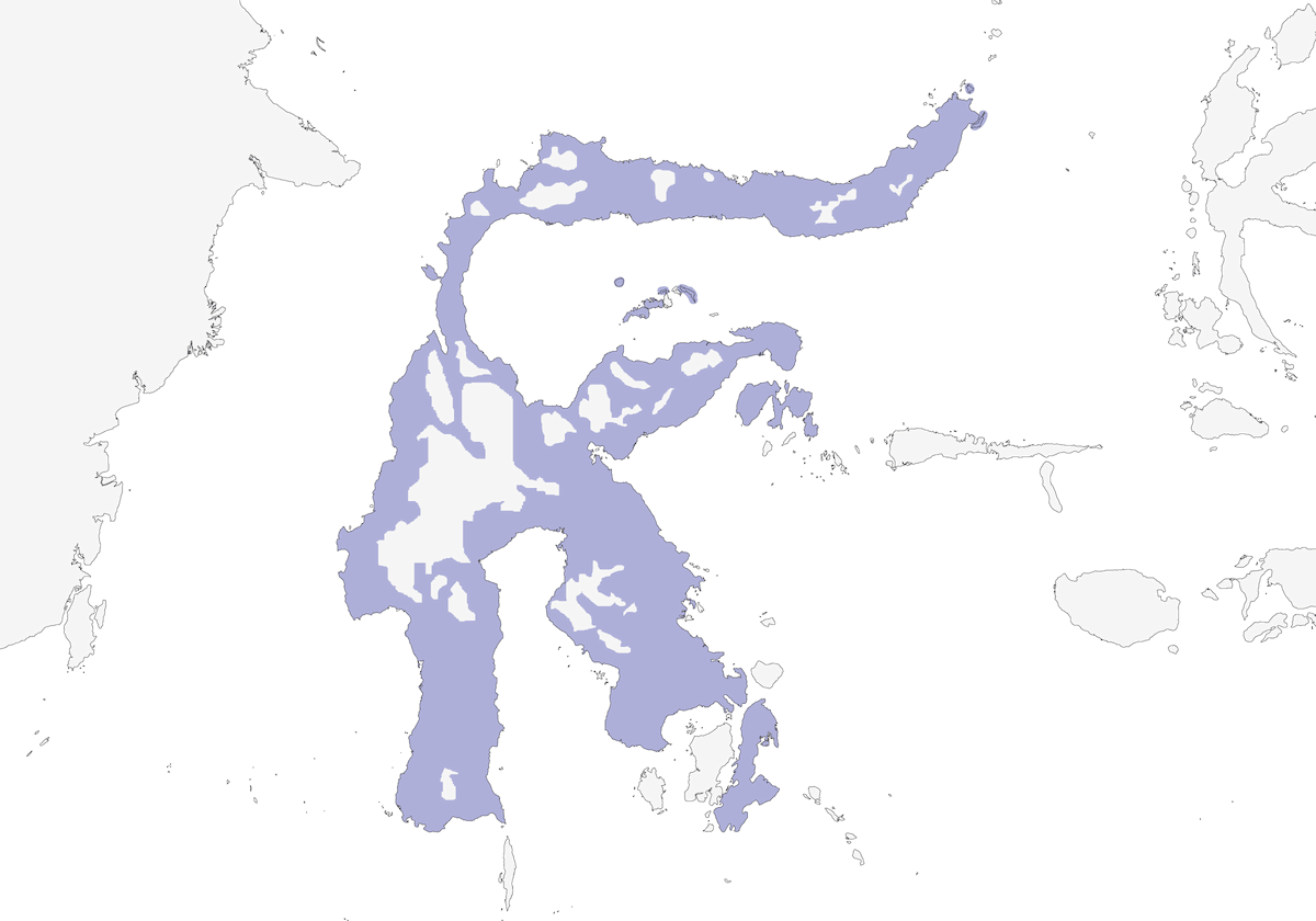Maina becco-di-fringuello, Distribuzione 1