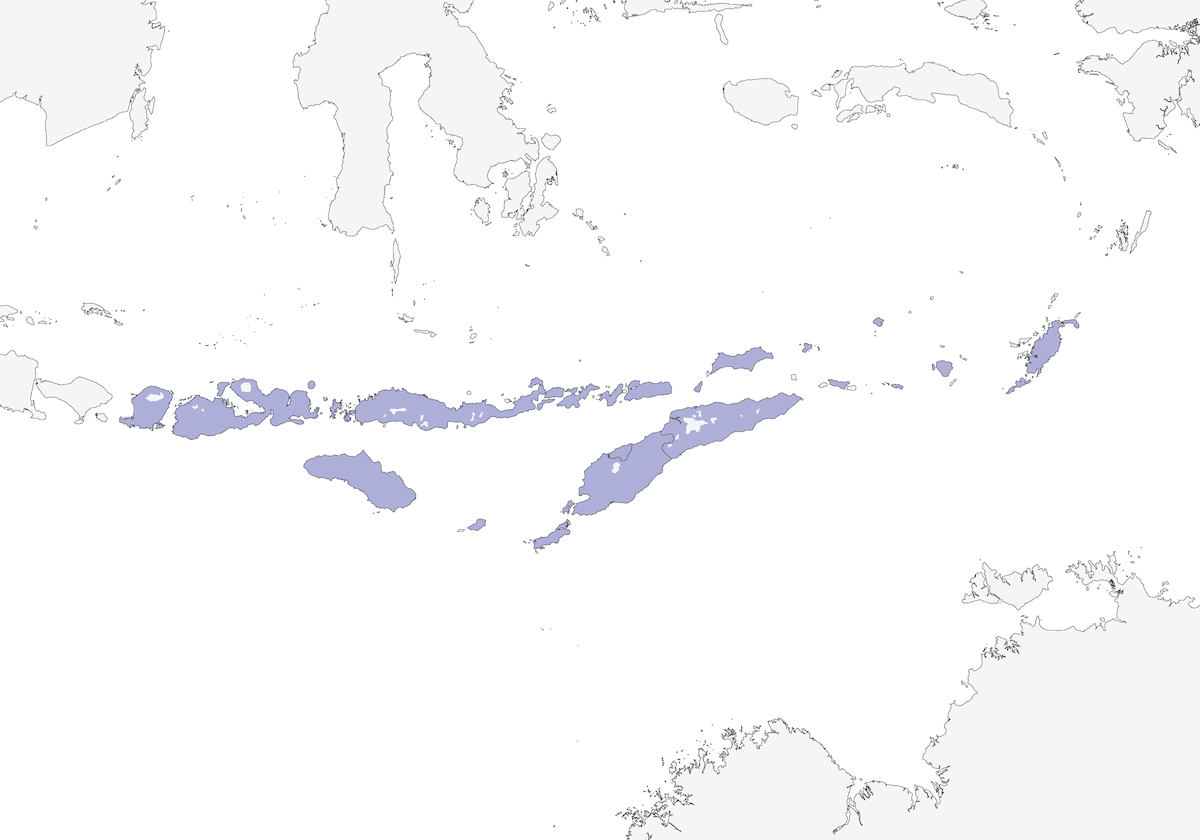 Munìa a cinque colori, Distribuzione 1
