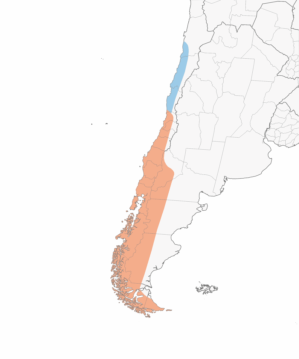 Diucon Ojirrojo, Distribución 1