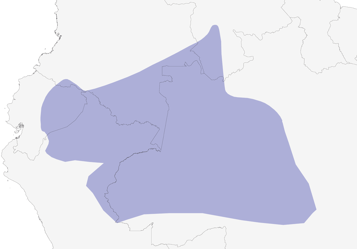 Topacio fulgente, Distribución 1