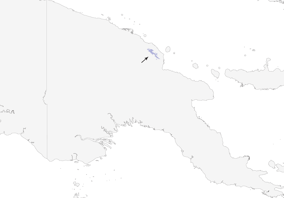 Pergolero de Fuego, Distribución 1