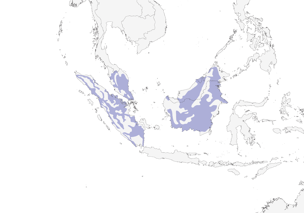 Bulbul de Finsch, Distribution 1