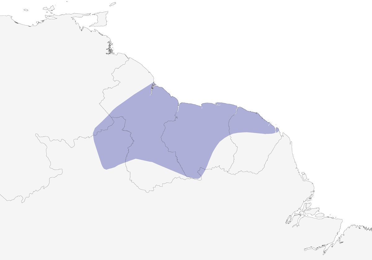 Eufonia de Finsch, Distribución 1
