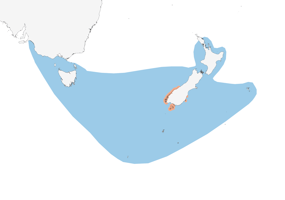 Pinguino del Fiordland, Distribuzione 1