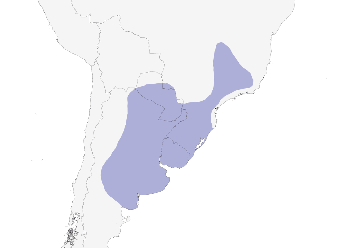 Firewood-gatherer, Distribution 1