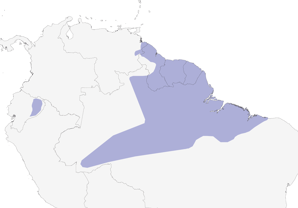 Colibri avocette, Distribution 1
