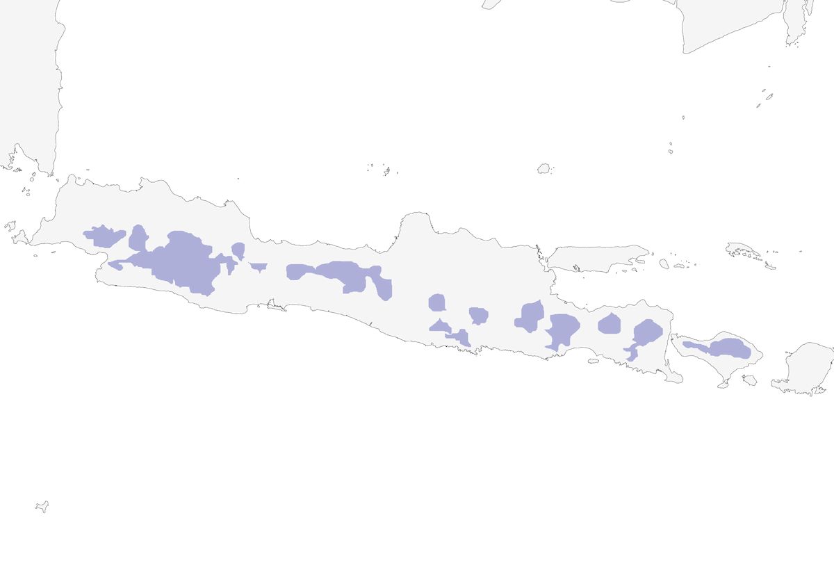 Barbudito Frentirrojo, Distribución 1