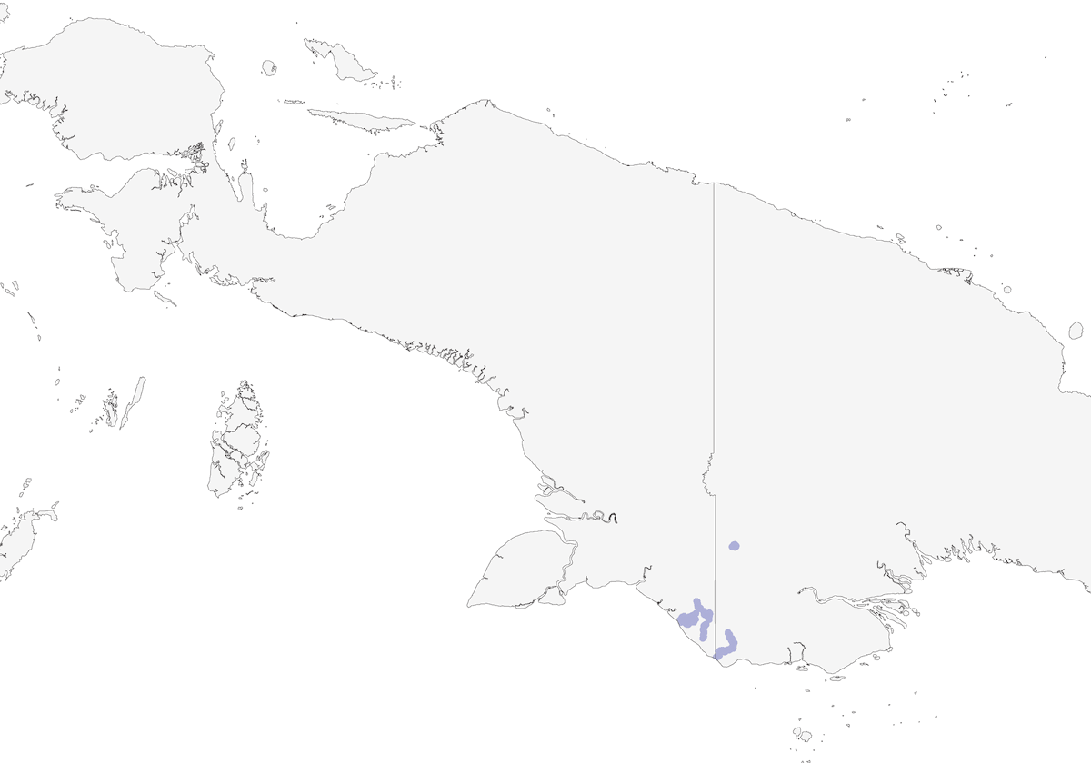 Carricero del Río Fly, Distribución 1