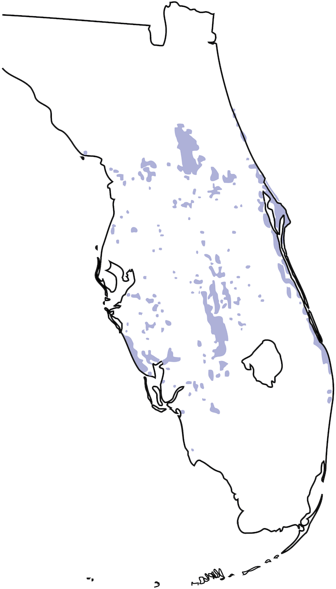 Chara de los matorrales de Florida, Distribución 1