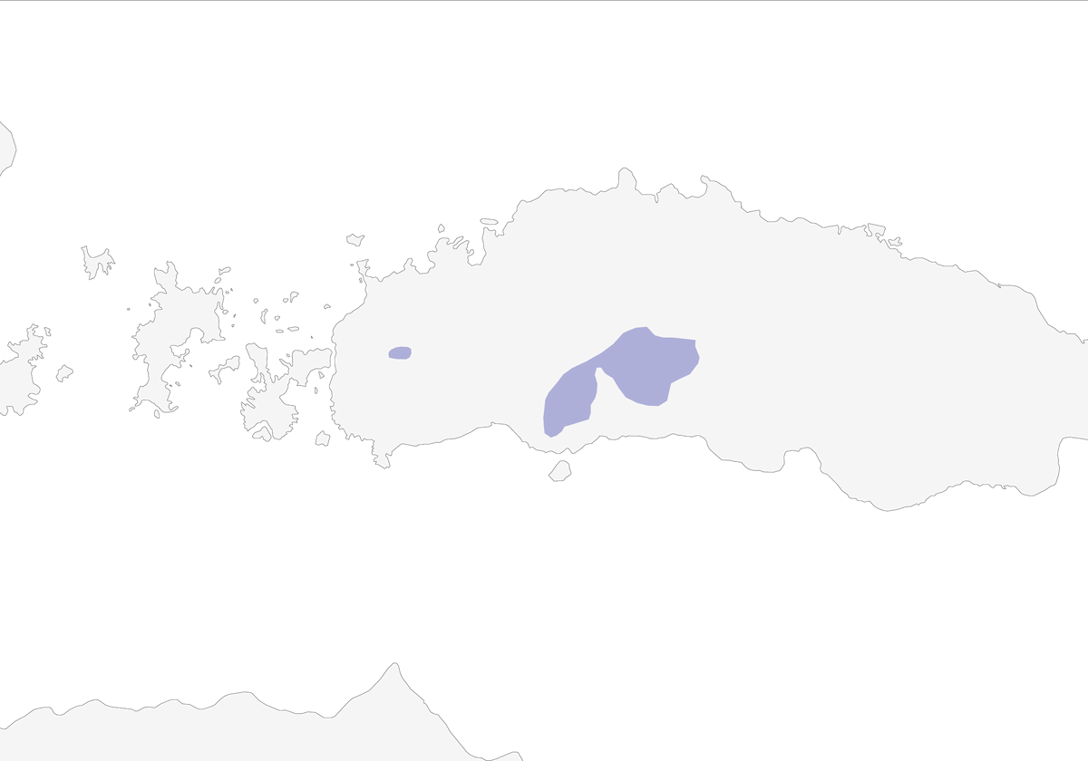 Autillo de Flores, Distribución 1