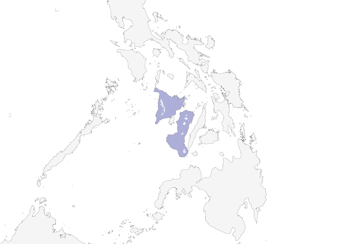 Timalia tempie fiammeggianti, Distribuzione 1