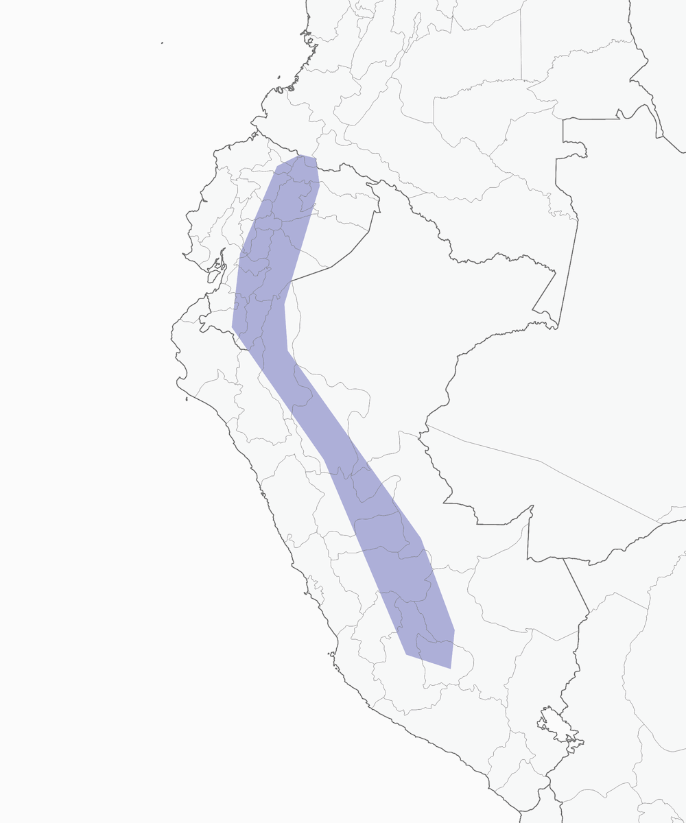 Foothill Elaenia, Distribution 1